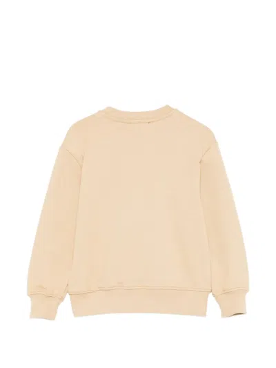 Msgm Logo-print Sweatshirt In Brown