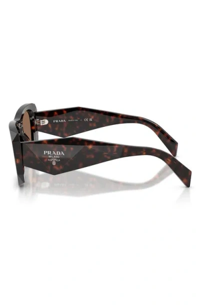 Prada 53mm Square Sunglasses In Brown