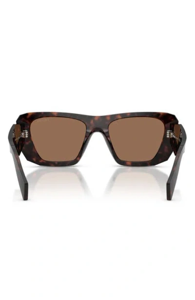 Prada 53mm Square Sunglasses In Brown