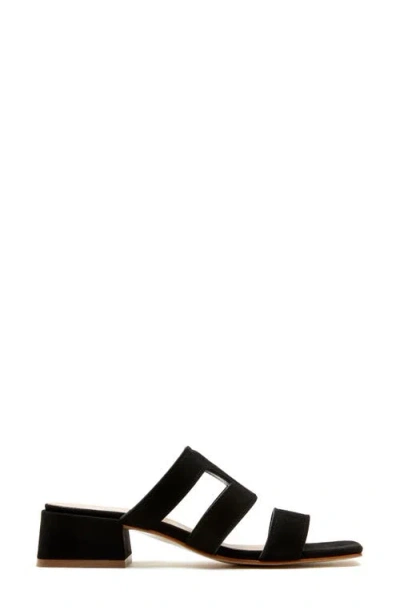 La Canadienne Fifi In Black