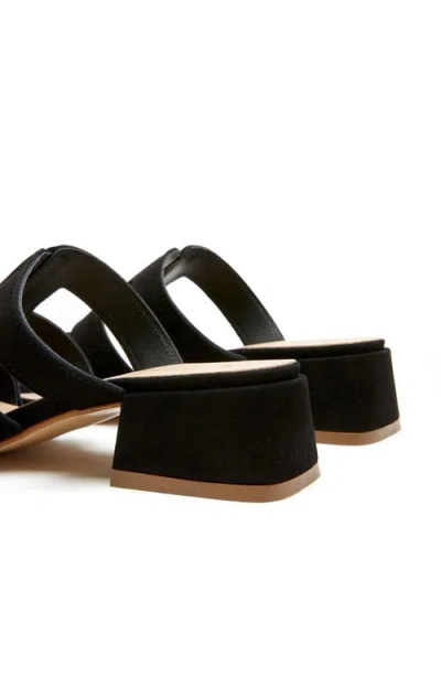 La Canadienne Fifi In Black