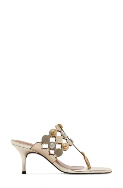 Arezzo Haven Sandal In Neutral