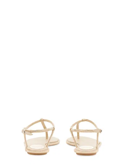 René Caovilla Diana Flip Flops Low Sandals With Crystals 10 Shoes In Grey