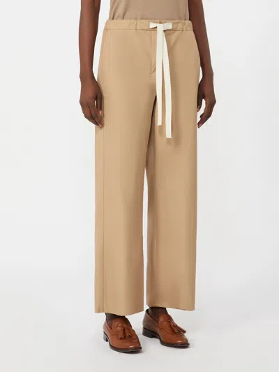 Max Mara Drawstring Casual Pants In Brown