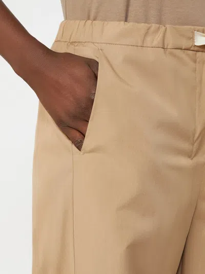 Max Mara Drawstring Casual Pants In Brown