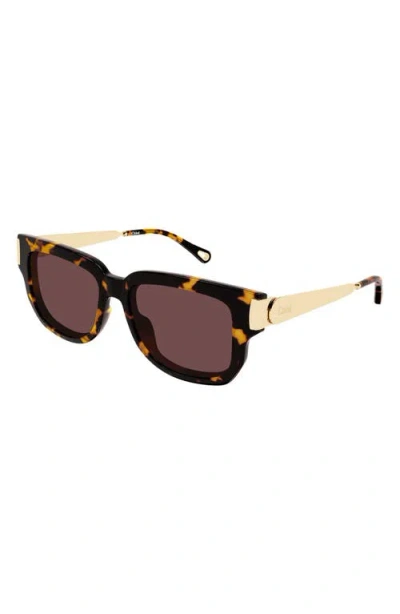 Chloé 54mm Rectangular Sunglasses In Brown