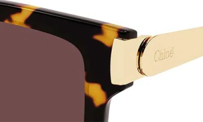 Chloé 54mm Rectangular Sunglasses In Brown