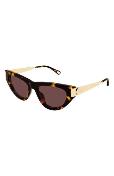 Chloé Eyewear Cat-eye Frame Sunglasses In Brown