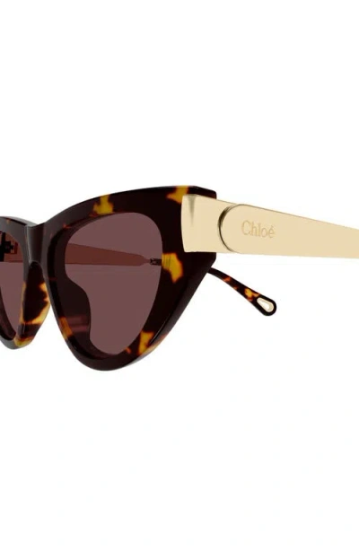 Chloé Eyewear Cat-eye Frame Sunglasses In Brown