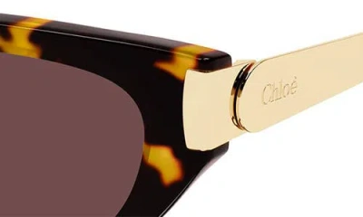 Chloé Eyewear Cat-eye Frame Sunglasses In Brown