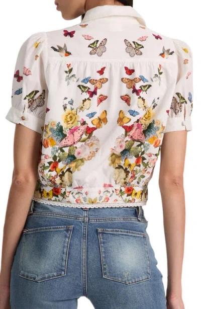 Alice And Olivia Rosie Embroidered Puff Sleeve Cropped Button Down Blouse Solar Strength Off White In Multi