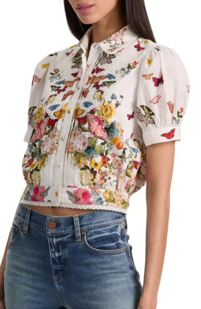 Alice And Olivia Rosie Embroidered Puff Sleeve Cropped Button Down Blouse Solar Strength Off White In Multi