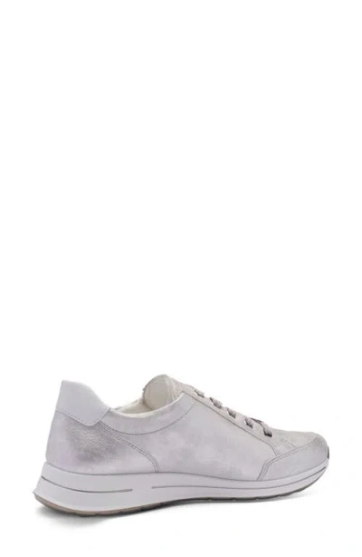 Ara Oleanna Zip Sneaker In Multi