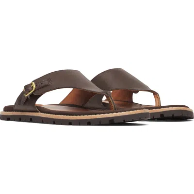 Merrell Haven Post Flip Flop In Brown