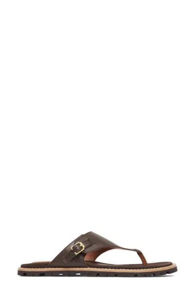 Merrell Haven Post Flip Flop In Brown