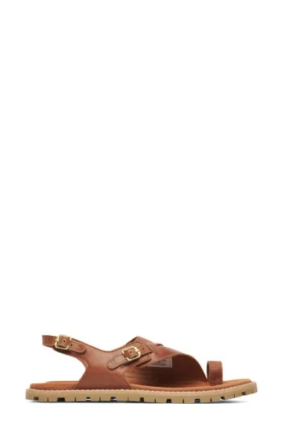 Merrell Haven Toe Loop Sandal In Brown
