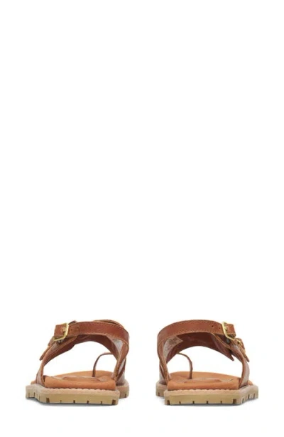 Merrell Haven Toe Loop Sandal In Brown