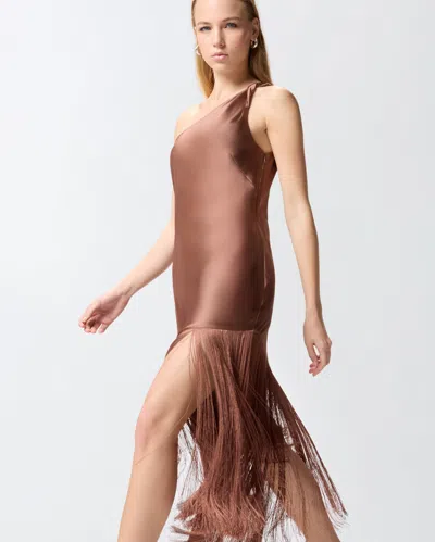 Pinko Brown Dress With Asymmetrical Design And Fringes In Tech Fabric Woman
