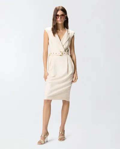 Pinko Amadine Dress Belted Waist Sleeveless V Neckline In Multi