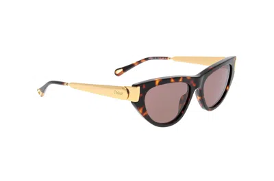 Chloé Eyewear Cat-eye Frame Sunglasses In Multi