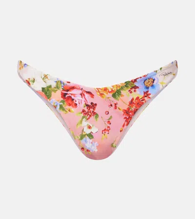 Roberto Cavalli Floral-print Logo-plaque Bikini Bottoms In Pink