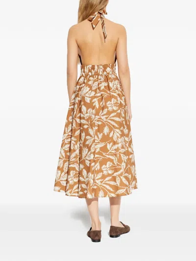 Max Mara Halterneck Printed Cotton Midi Dress In Brown