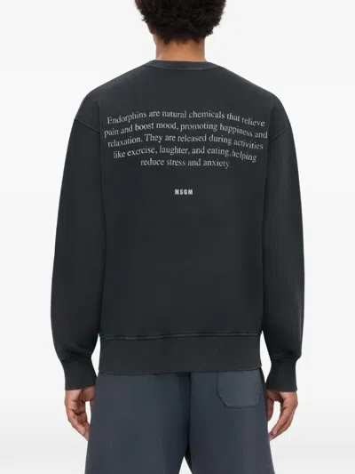 Msgm Round-neck Sweatshirt In Gray