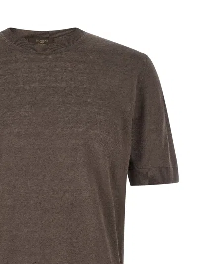 Zanone Short-sleeve Crew-neck T-shirt In Brown