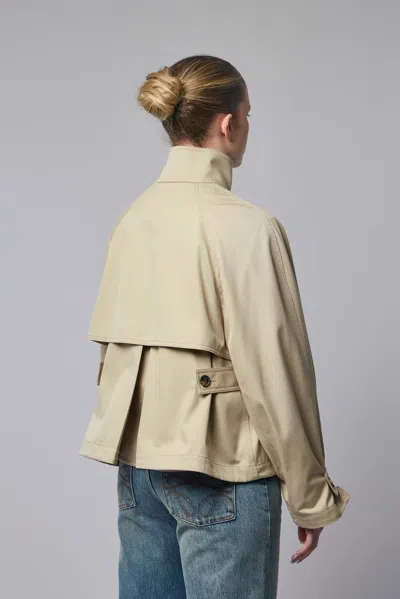 Loewe Button Cotton Jacket In Neutral