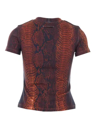 Jean Paul Gaultier Python-print Crew-neck T-shirt In Brown