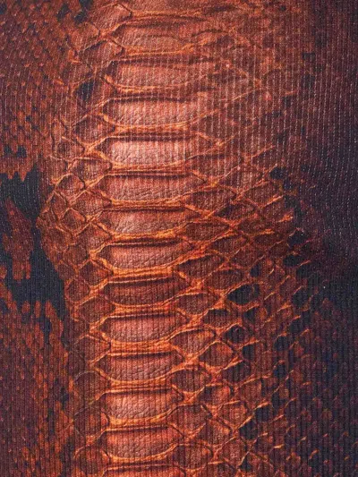 Jean Paul Gaultier Python-print Crew-neck T-shirt In Brown