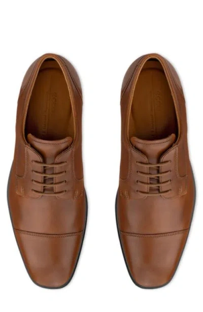 Ecco Metropole Milan Cap Toe Derby In Multi