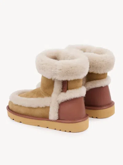 Chloé Dolcie Shearling-trimmed Suede Ankle Boots In Brown