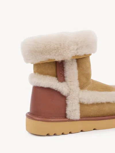 Chloé Dolcie Shearling-trimmed Suede Ankle Boots In Brown