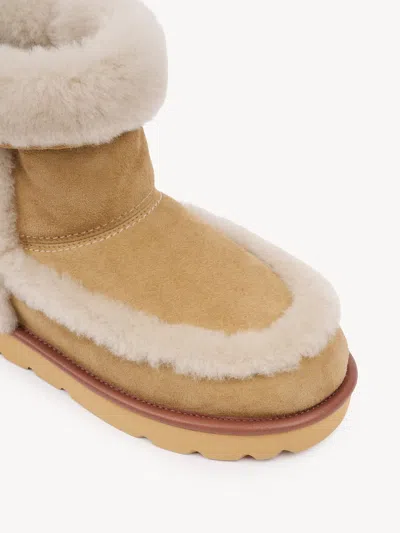 Chloé Dolcie Shearling-trimmed Suede Ankle Boots In Brown