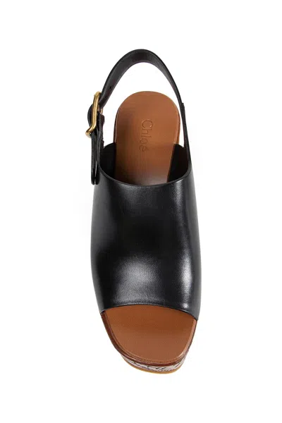 Chloé Maxime Black Wedge With Engraved Written Decorations And Logo Buckle In Leather Woman In Black