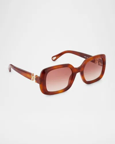 Chloé Marcie 53mm Rectangular Sunglasses In Brown