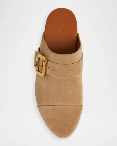 Chloé Jeannette Buckle Detailed Studded Clogs In Brown