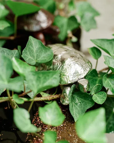 Jan Barboglio Lento Decorative Object