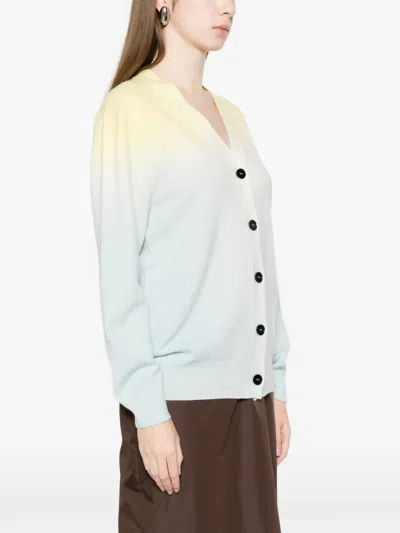 Jil Sander Buttoned Gradient Cardigan In Multi