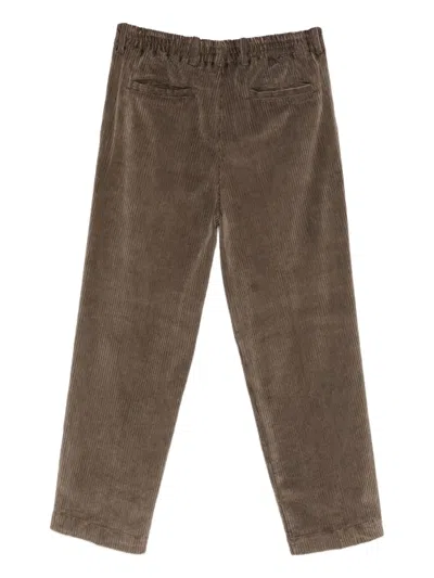 Myths Poseidone コーデュロイパンツ In Brown