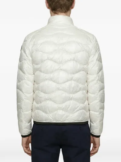 Blauer Zip Quilted Jacket In Multi