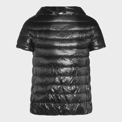 Herno Coats Blacks And Greys In Black