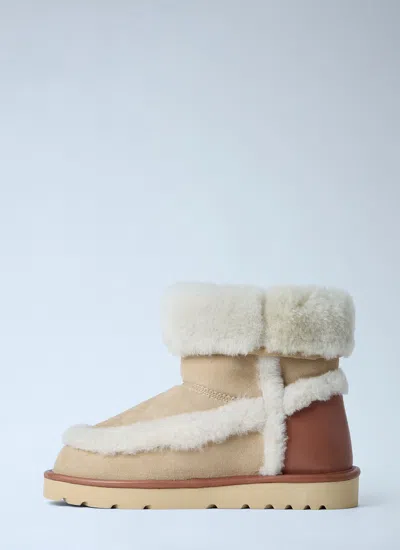 Chloé Dolcie Shearling-trimmed Suede Ankle Boots In Multi