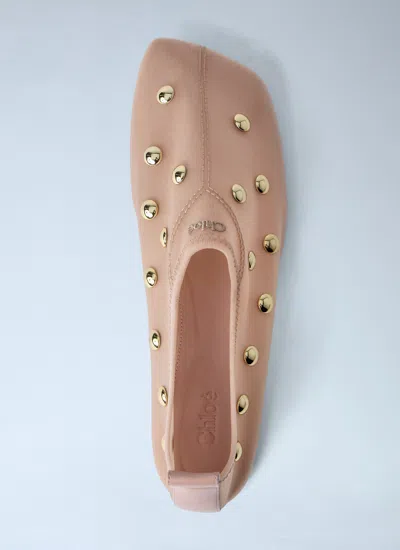 Chloé Rita Blushy Beige Ballet Flats In Transparent Mesh Women In Neutral