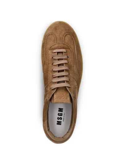 Msgm Suede Sneakers In Brown
