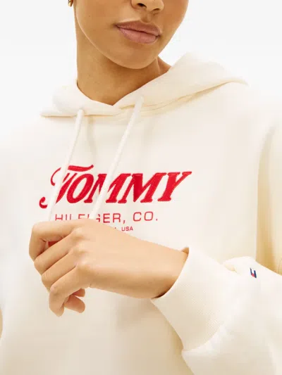 Tommy Hilfiger Drawstring Hooded Sweatshirt In Neutral