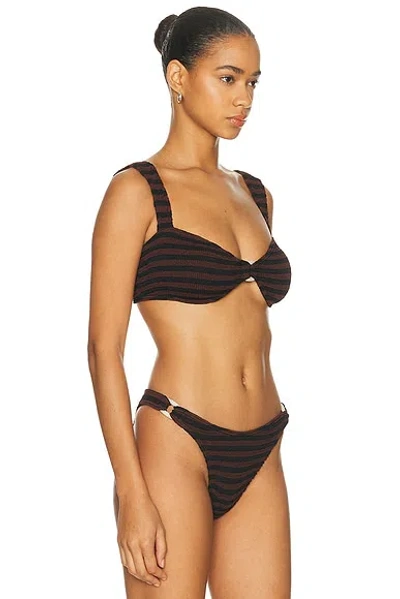 Bond Eye Ring Delphi Crop In Brown