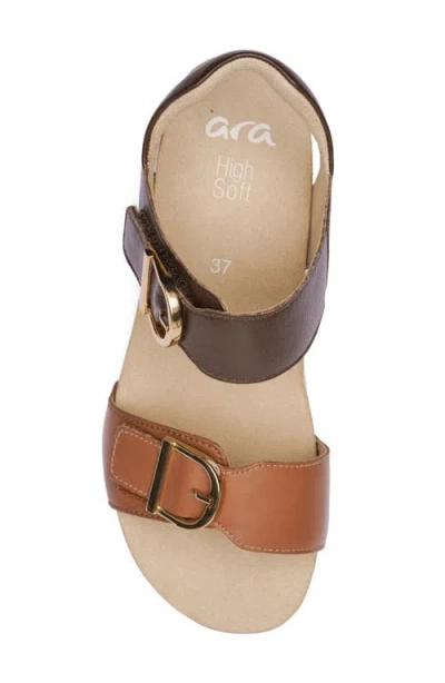 Ara Nova Platform Wedge Sandal In Multi