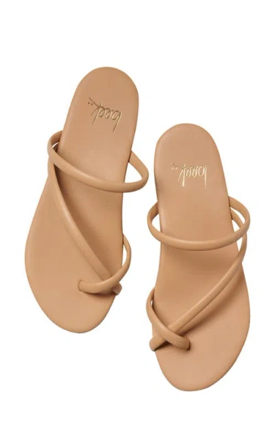 Beek Sunbird Slide Sandal In Multi